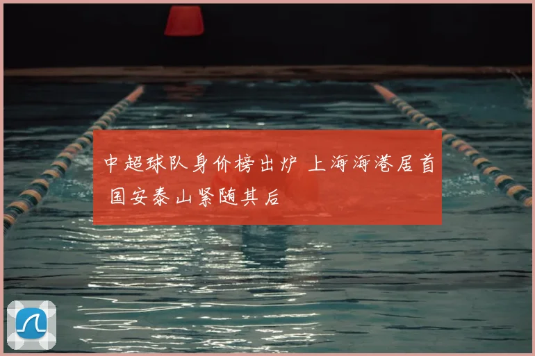 中超球队身价榜出炉 上海海港居首 国安泰山紧随其后