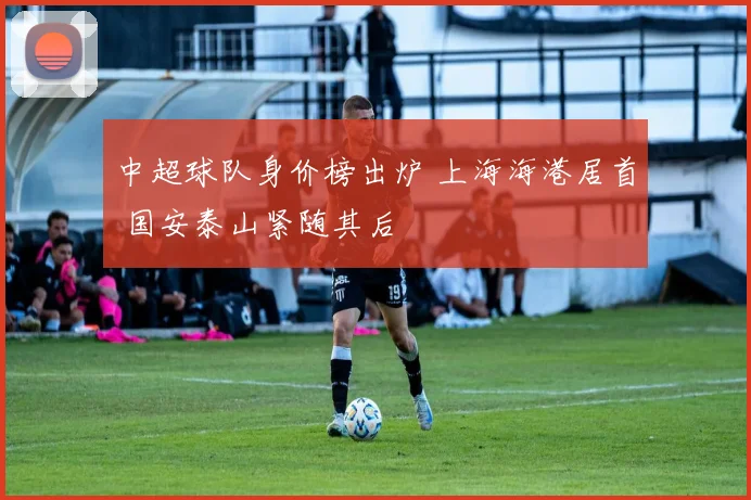 中超球队身价榜出炉 上海海港居首 国安泰山紧随其后